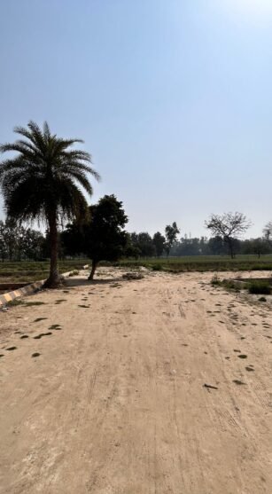 site 1