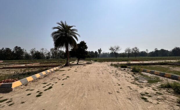 site 1