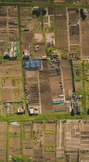 plot1
